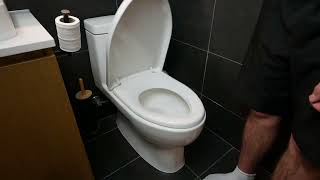 KOHLER K 3983 S 0 Reach One Piece Dual Flush Compact Elongated Bowl Toilet Review