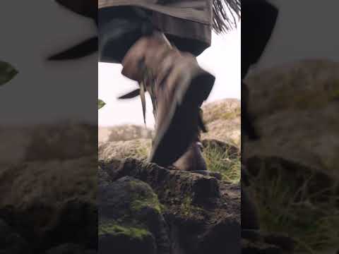 Understanding Kilties: History, Variety, and Usage