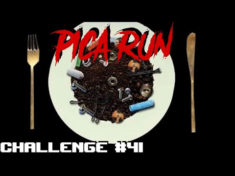 Pica Run - Challenge #41