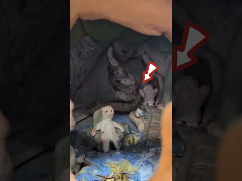 هذه الفتاة حاولت تقترب من هذا التمثال بطريقة جميلة