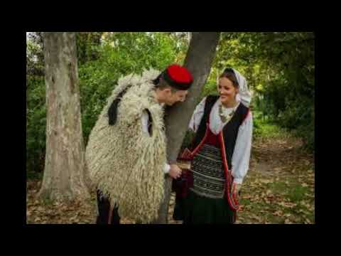 Dragoslava Genčić - Ja sam Jovicu šarala, varala