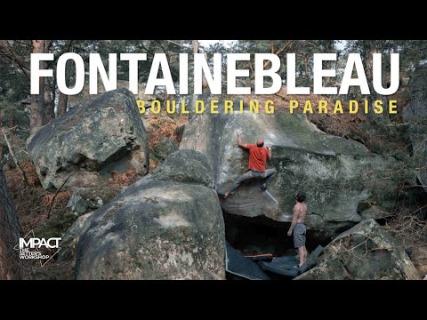 Fontainebleau // A Dream Trip in Bouldering Paradise