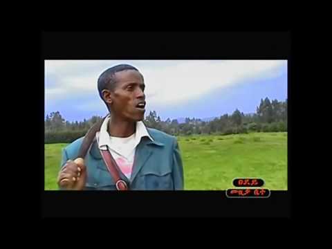 Endeshaw Kasaw   Bederaku Lachegn Shelela