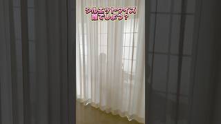 目細めて見てしまうのなんでですかね #推しは推せる時に推せ #推し推せ #コンカフェ #ミナミコンカフェ #メイド #アイドル #shorts