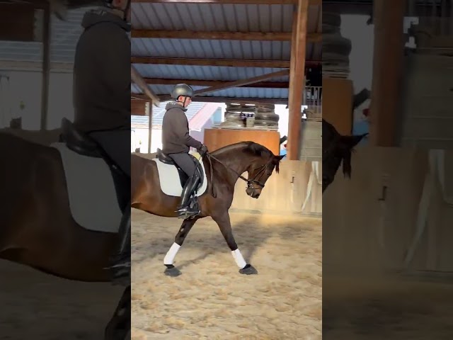 ID&Eacute;AL D&rsquo;AZIF 