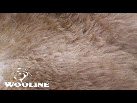 , title : 'Wooline® - Ovčí kožešina hnědá - přírodní'