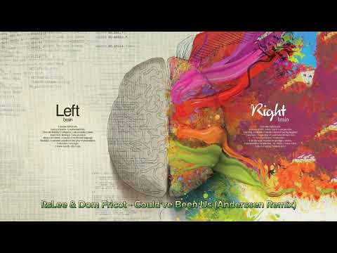 ItsLee & Dom Fricot - Could've Been Us ( Remix )