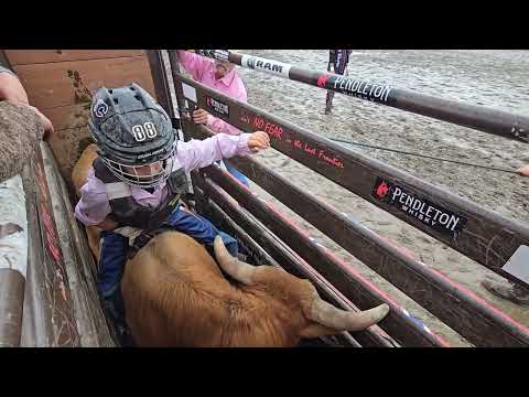 Alaska Rodeo Steer riding