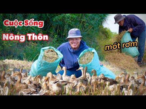 Cá Lóc Nướng Trui Ăn Kèm Rau Sống Trong Vườn Nhà | Cuộc Sống Nông Thôn #ẩmthực #food #cooking 