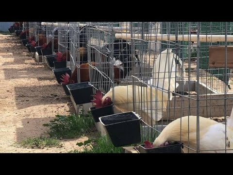 Arroyo Farm California