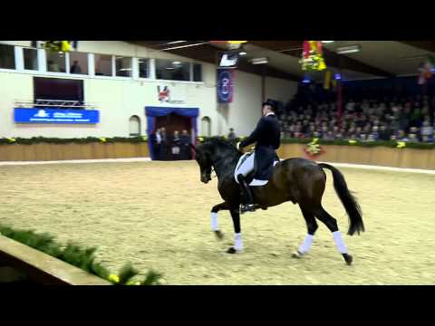 Hengstkollektion 2014 - Zack