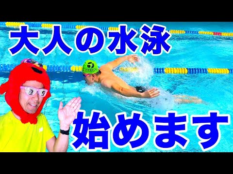 嵐の前後にプールを維持するにはどうすればよいですか?きれいな水を見つけるために知っておくべきことすべて  庭園