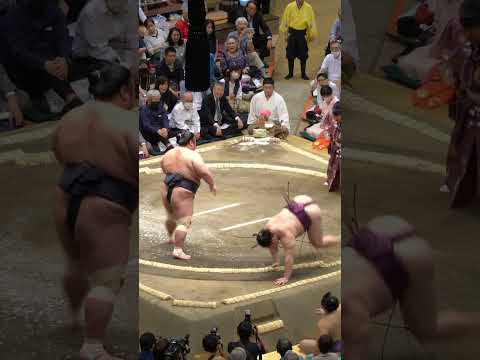 4 EPIC Sumo Matches @ Tokyo Grand May Tournament #japan #travel #sumo #japantravel #travelvlog