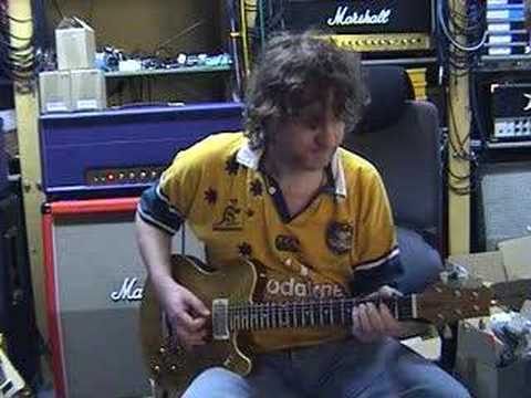 Tokai new model, Haeussel Pickups