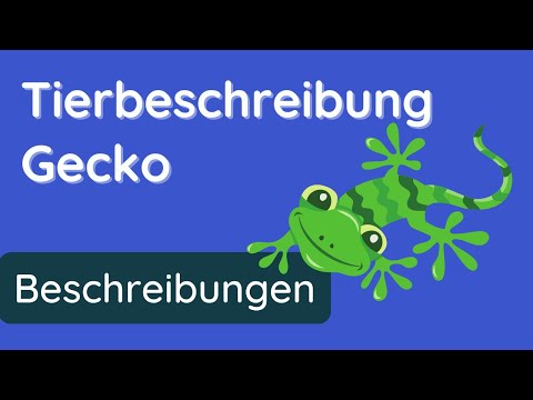 Tierbeschreibung Gecko ✅ Erklärung, Aufbau, Beispiel
