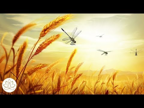 Music to Unwind: Positive Energy, Calming Music, Stress Relief, Meditation Music (Guiding Lights)