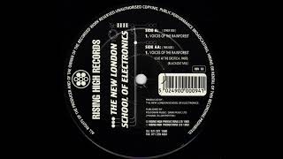 The New London School Of Electronics* - Voices Of The Rainforest (Blackout Mix) [RSN 63]