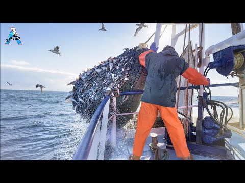 Amazing Fastest Bluefin Tuna and Swordfish Fishing skill - Most Satisfying Sea Fishing @FISH_TV