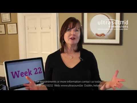 22 Weeks Pregnant - Your 22nd Week Of Pregnancy