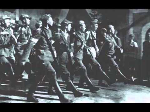 FORTECA -  Serce z pasiaka wycięte