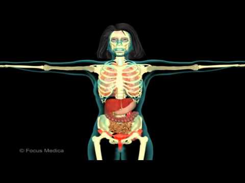 Gicht Schultergelenk Symptome und Behandlung Mikromassage mit Osteochondrose