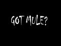 Gov't Mule "On Your Way Down" @ Roseland Ballroom 10/18/01