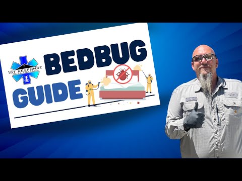 The Ultimate Guide to Bed Bug Infestations and Solutions