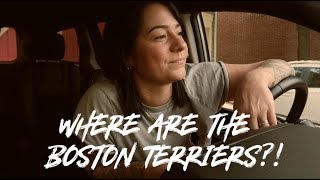 BOSTON MASSACHUSETTS - Lucy Spraggan Vlog
