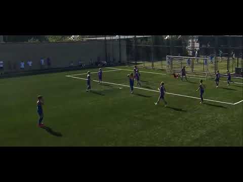 Minijatura videozapisa