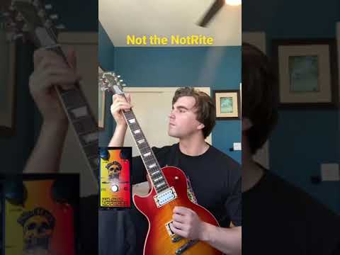 Wilson Effects Not the NotRite Fuzz Pedal image 5