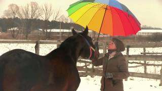 preview picture of video 'Игры с цветным зонтом и лошадью - Games with colored umbrella and a horse -'