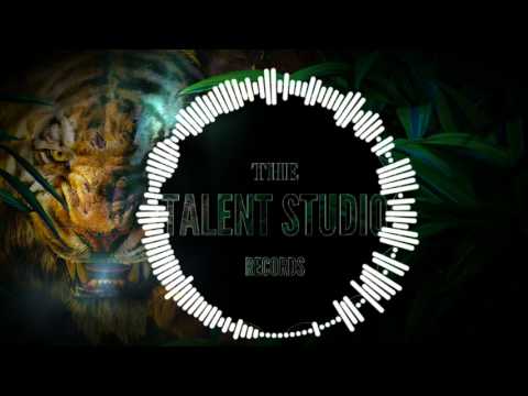 Summerjack - Roar (Original Mix)