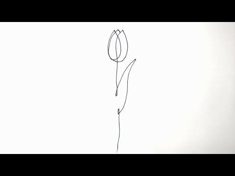 How to Draw a Tulip with One Line