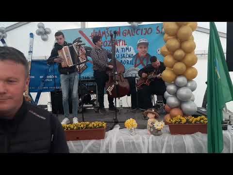 NA RIBNISKEM SEJMU - HARMONIKA TIMI ZAJC - PLAZNIK STIMA