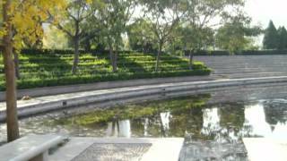 Tianjin before explosion: Music &#39;The City&#39; by Mark-Almond