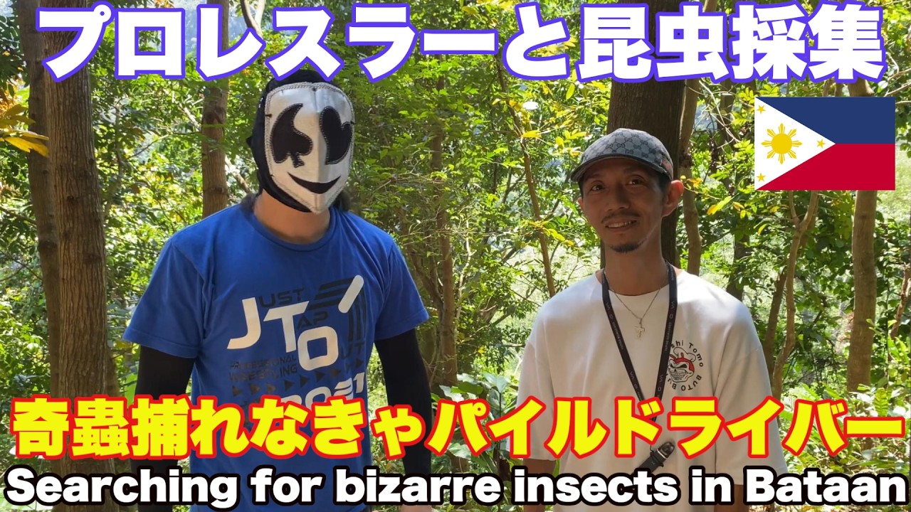 初海外！フィリピン初めてのプロレスラーと奇蟲を求めてバターンで昆虫採集。 昆虫シーズン到来 Searching for bizarre insects in Bataan 