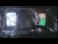 Hello McFly Music (Video Version 2)