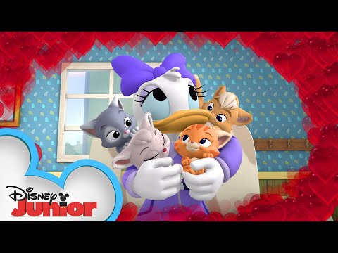 Happy Helpers Babysit Kittens ?| Mickey Mouse Mixed-Up Adventures | Disney Junior
