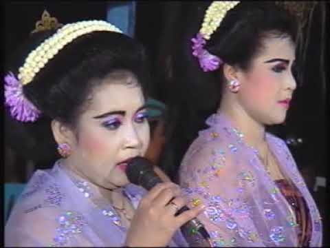 TAYUB || SRIHUNING - KEMBANG KOPI