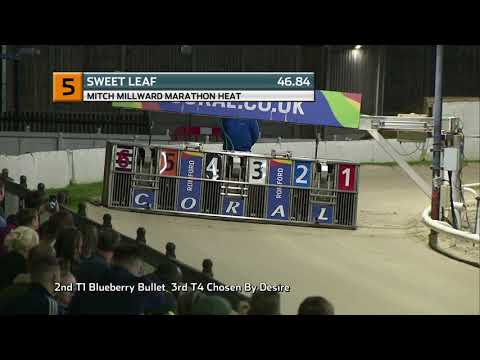 2021 MITCH MILLWARD MARATHON - HEAT 1 - T5 SWEET LEAF