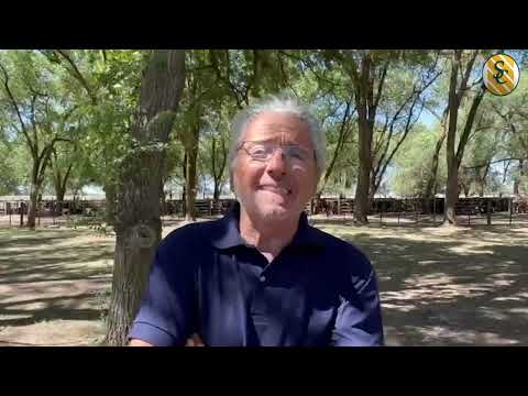 13-01-23 - Victor Sisinni - Martillero - Remate de Ricardo Peiretti S.A. - San Jorge, Bs.As.