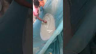 preview picture of video 'Eggs of Indian grass carp done by Kailash Hatchery, odissa'