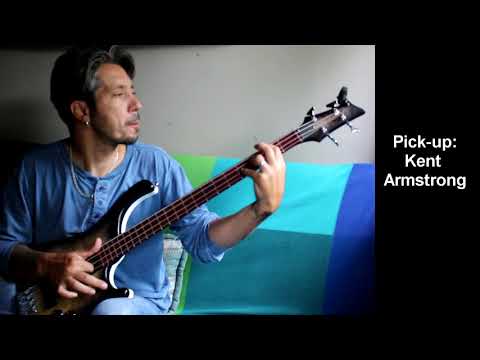 Peter Crow Design "Myrsky" Bass test by Solti Ferenc "Franky" .