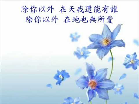 生命的執著 My Tribute