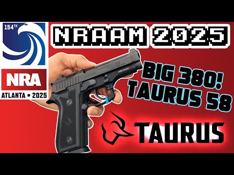 Taurus PT 58 S Range review
