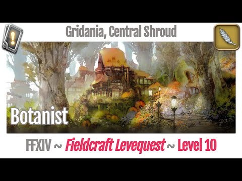 FFXIV Botanist Leves Level 10 - Gridania, Central Shroud - A Realm Reborn