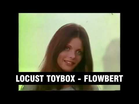 Locust Toybox - Flowbert