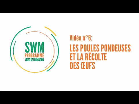 , title : 'Vidéo de formation #6 – Les poules pondeuses et la récolte des œufs - #SWMProgramme'