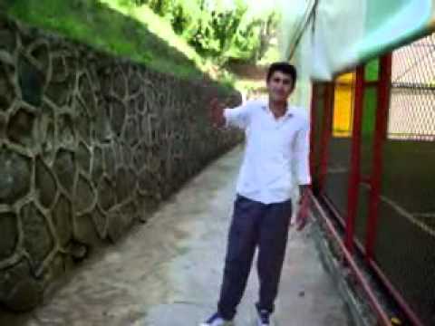 feelaket dj ft mc lider ft karamsar -aşkın faizi