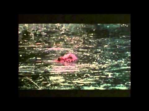 The Last House On The Left (1972) Trailer